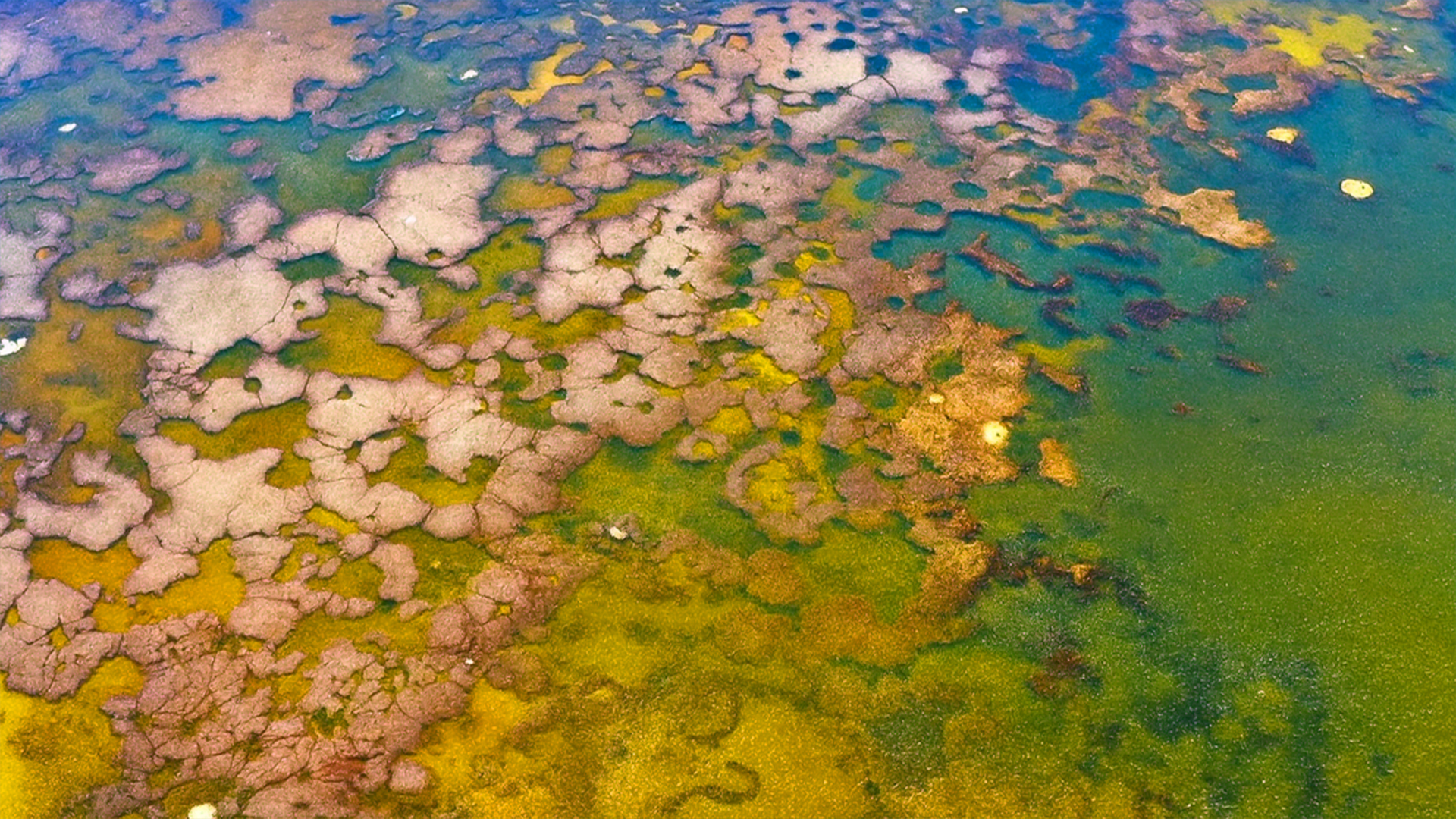 Have you seen Bolivia’s black lagoon from the sky?