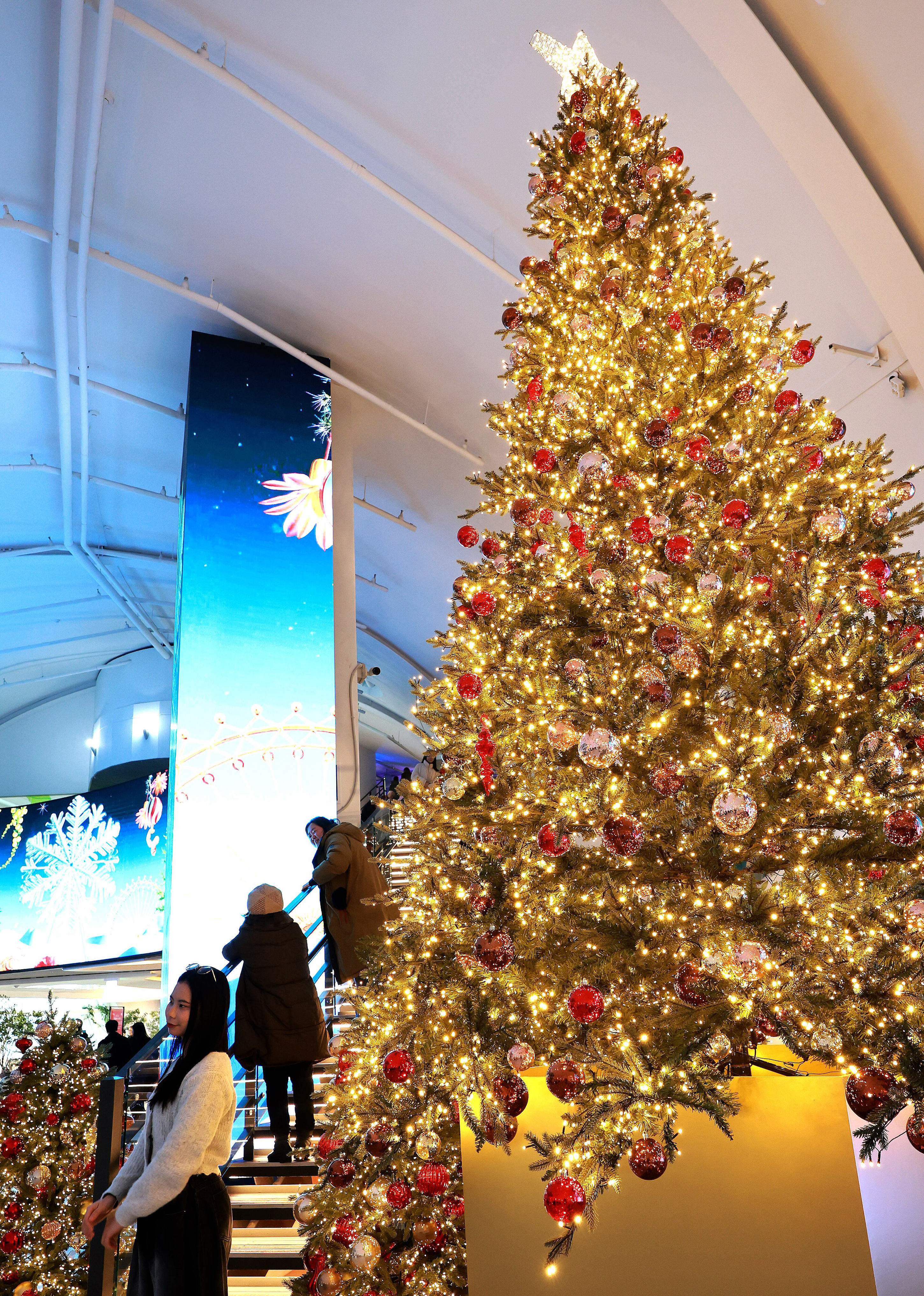 25·25·25·25… 100년 기다려야 한다는 '쿼드러플 크리스마스' 뭐길래, image size:2901x4066