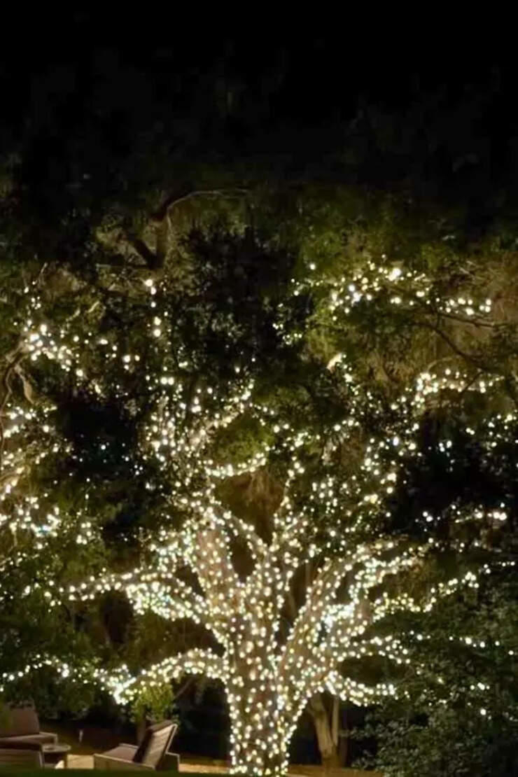 'Your tree is on Mounjaro': Kendall Jenner's low-key Christmas at her ...