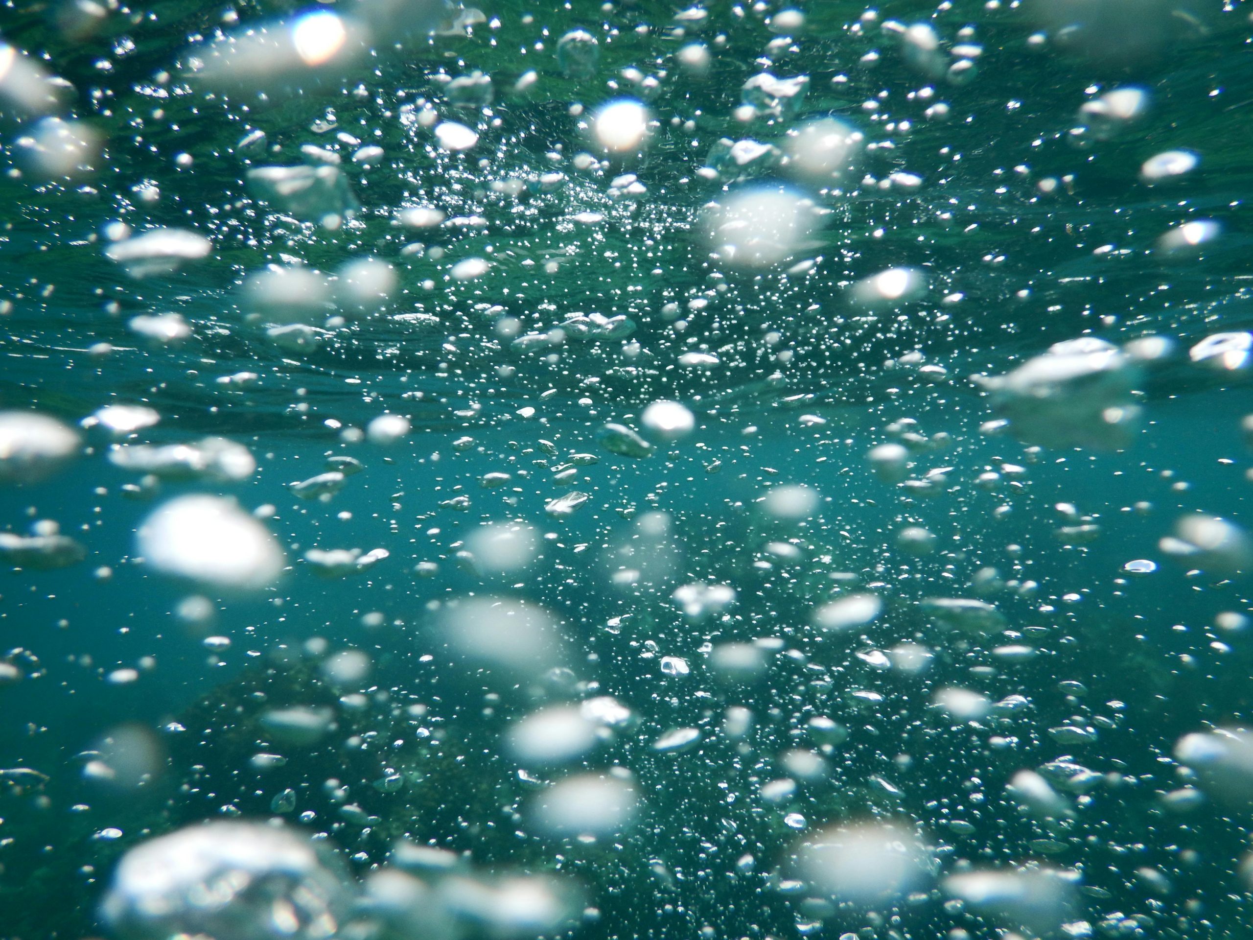15 water conditions that mean fish are actively feeding