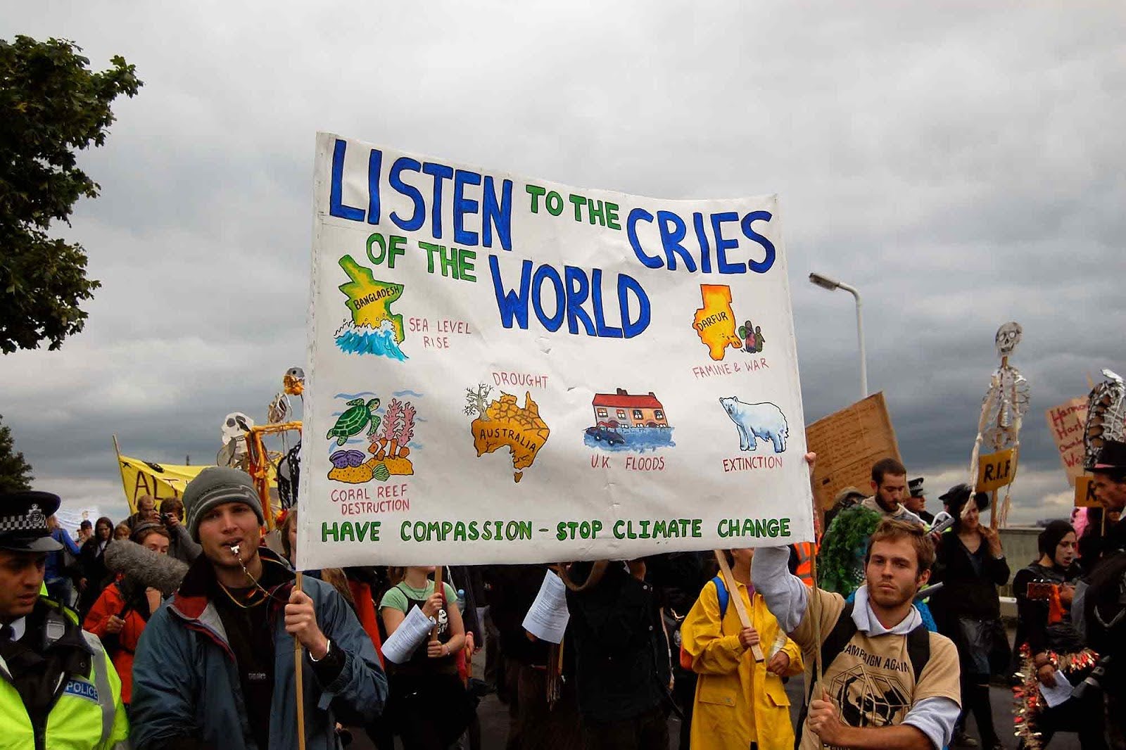 Our best climate & environment stories of 2025