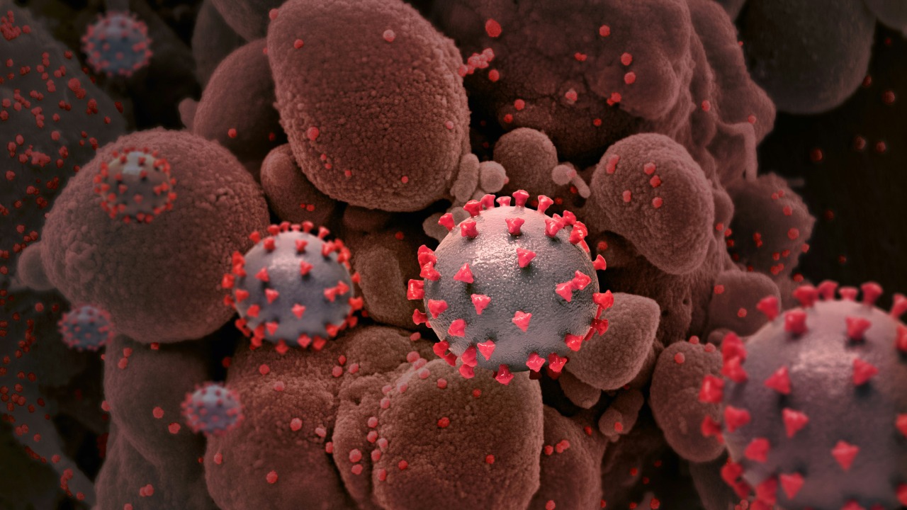 New tool exposes hidden cancer networks inside tumors