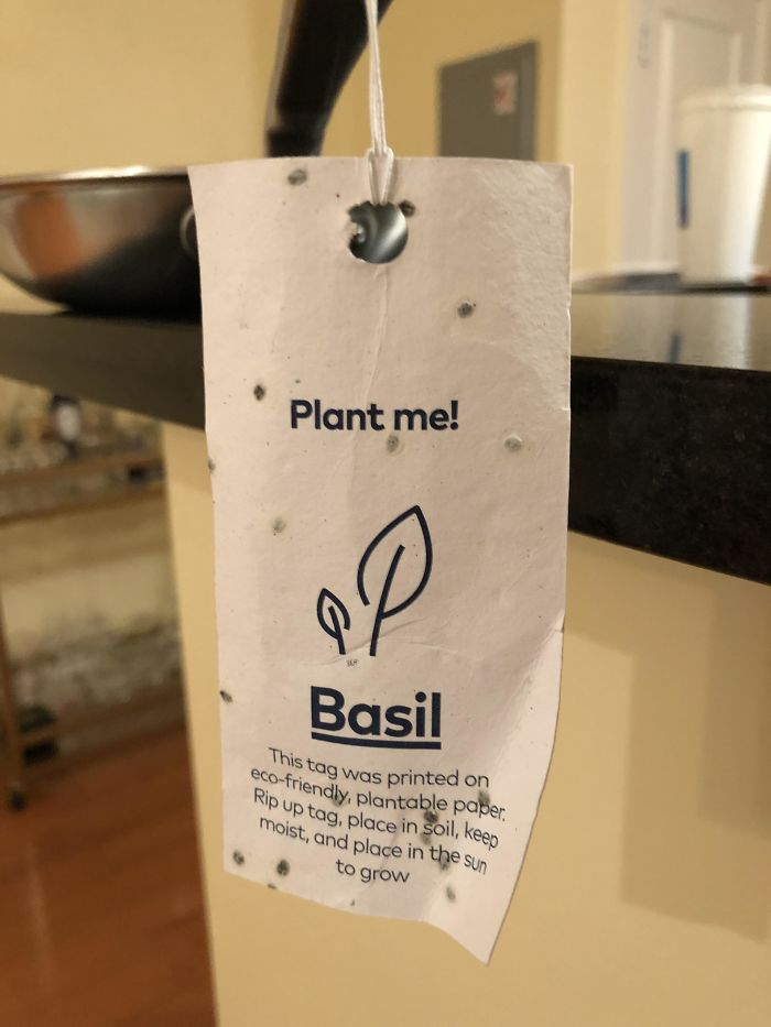 45 Times People Did Something Clever About Saving The World Instead Of Just Talking