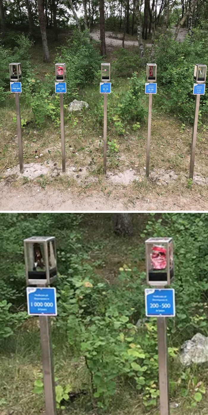 45 Times People Did Something Clever About Saving The World Instead Of Just Talking