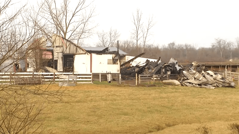 100 rabbits, 15 goats killed in barn fire in Darke County