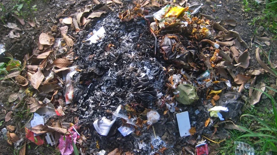 6 things you're not allowed to burn in your backyard (but many still do)