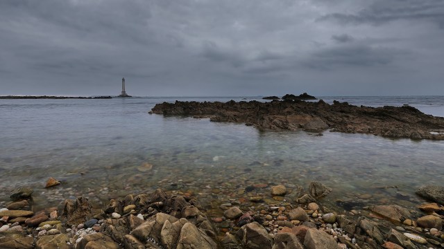 Officials issue warning as harmful creatures spread into new territory — here