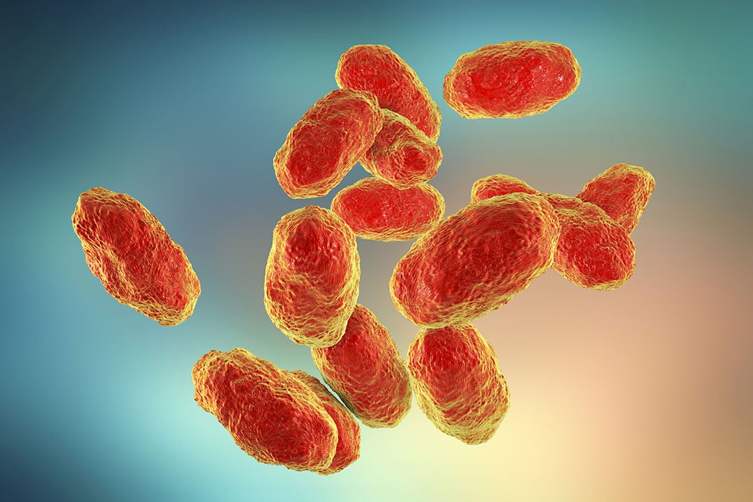 Hospitals warned about rare infection emerging in Calgary