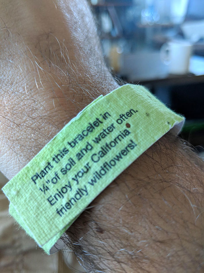 45 Times People Did Something Clever About Saving The World Instead Of Just Talking