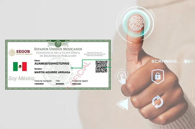 Es oficial | La CURP biométrica será obligatoria para todos los ...