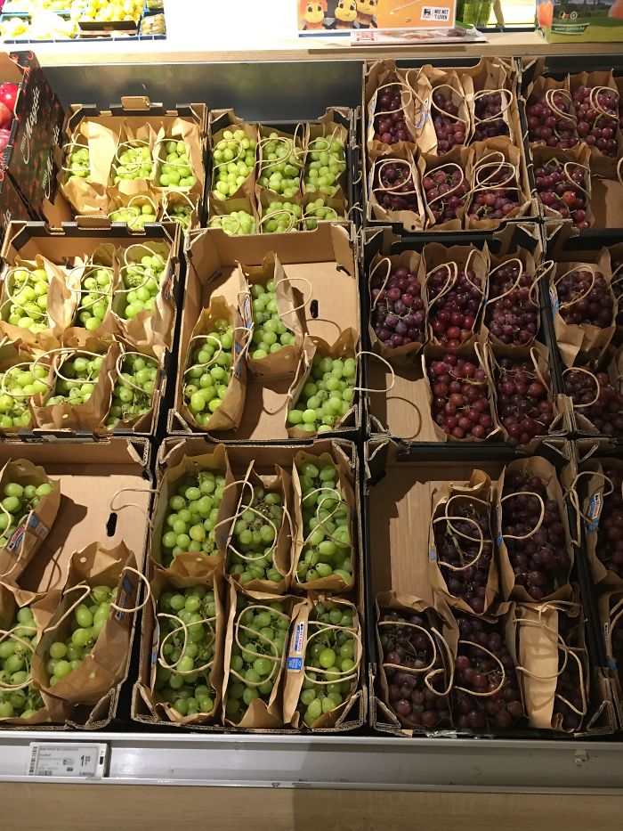 45 Times People Did Something Clever About Saving The World Instead Of Just Talking