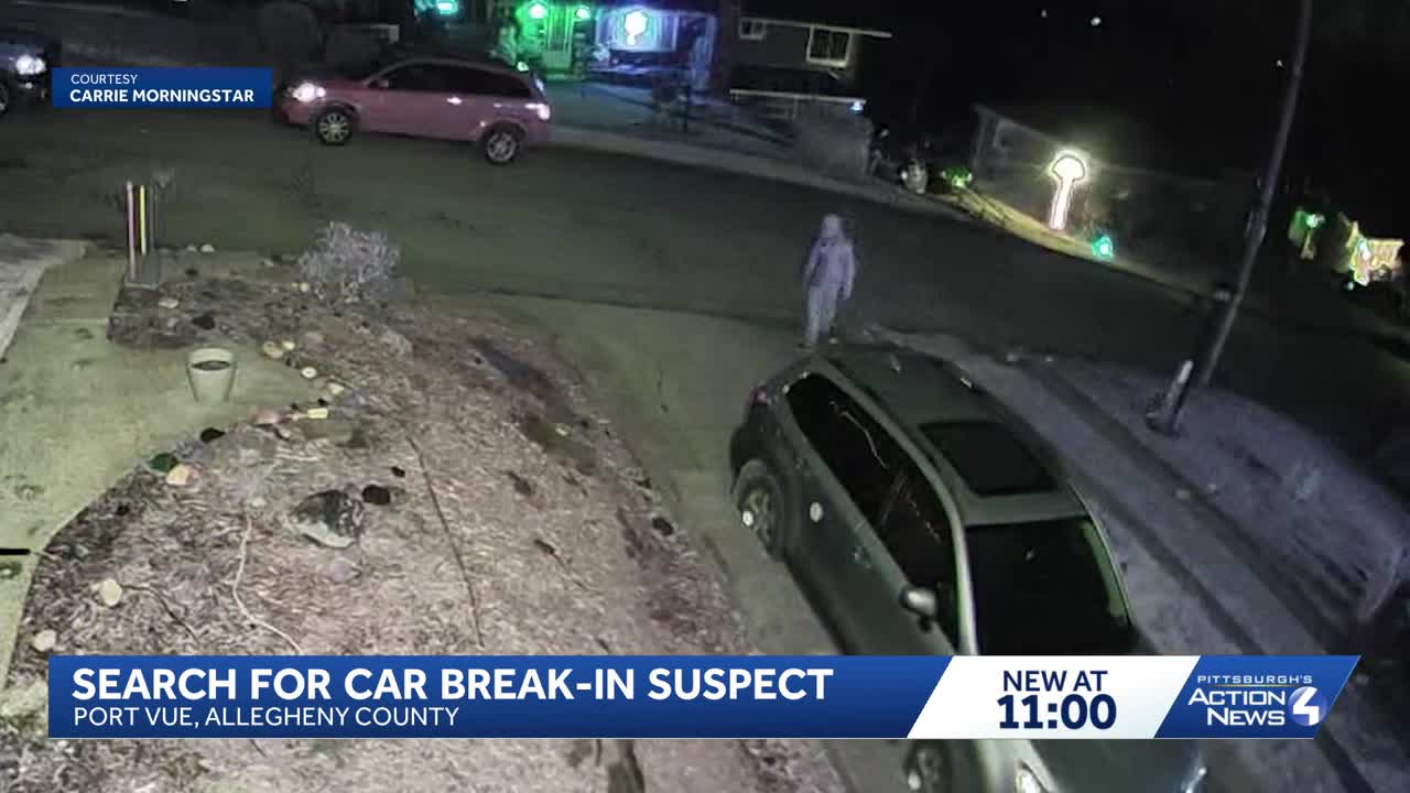 Suspect caught on camera during Port Vue car break-ins; police searching