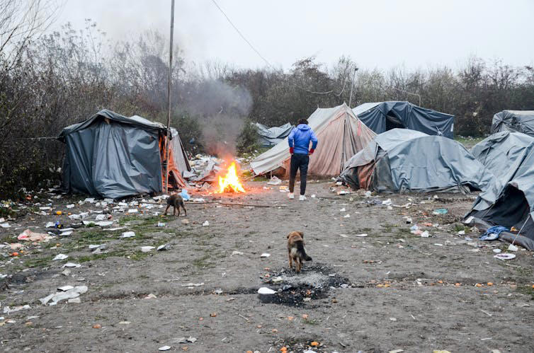 How displacement reshapes refugees’ gut health