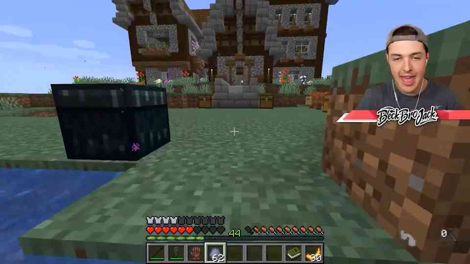 Minecraft but every animal is custom and crazy