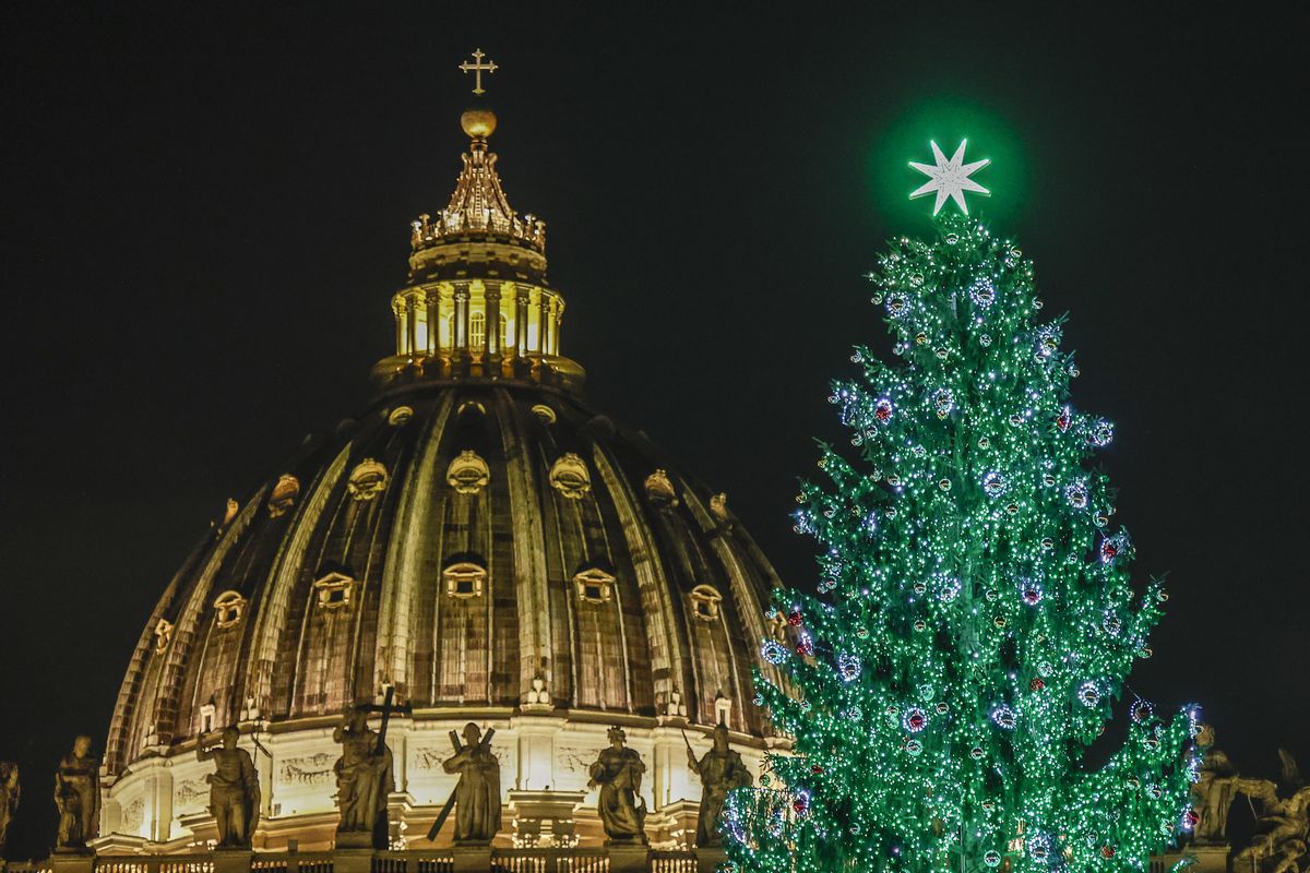 Christmas trees on the net