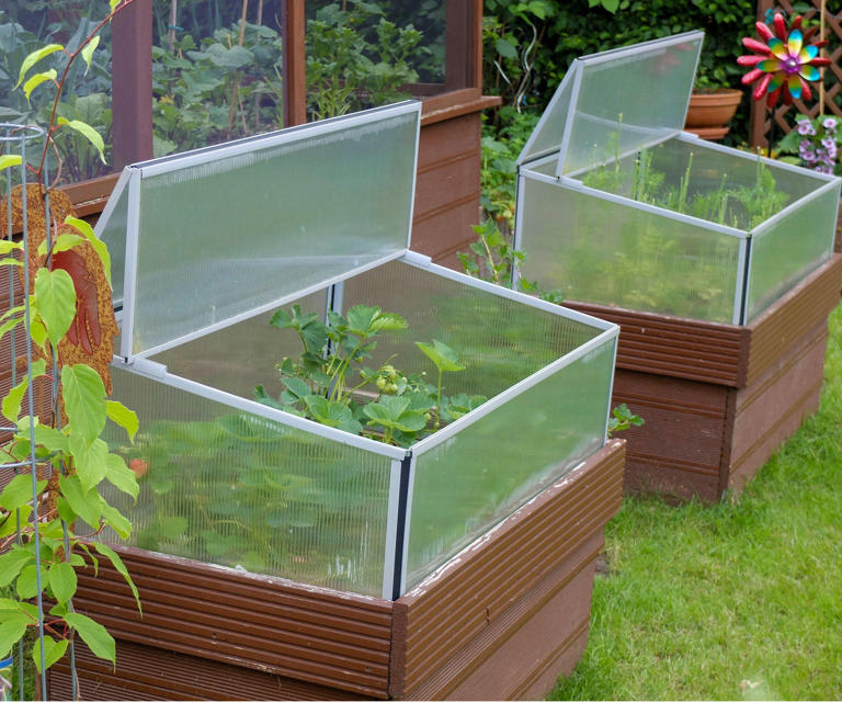 Now is the time to install a cold frame: 5 types to choose from
