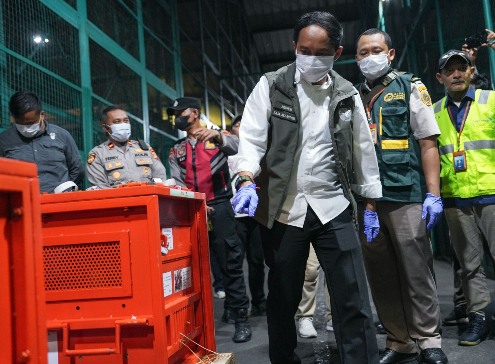 Pimpin Repatriasi Orangutan, Menhut Tegaskan Komitmen Lawan Perdagangan Satwa