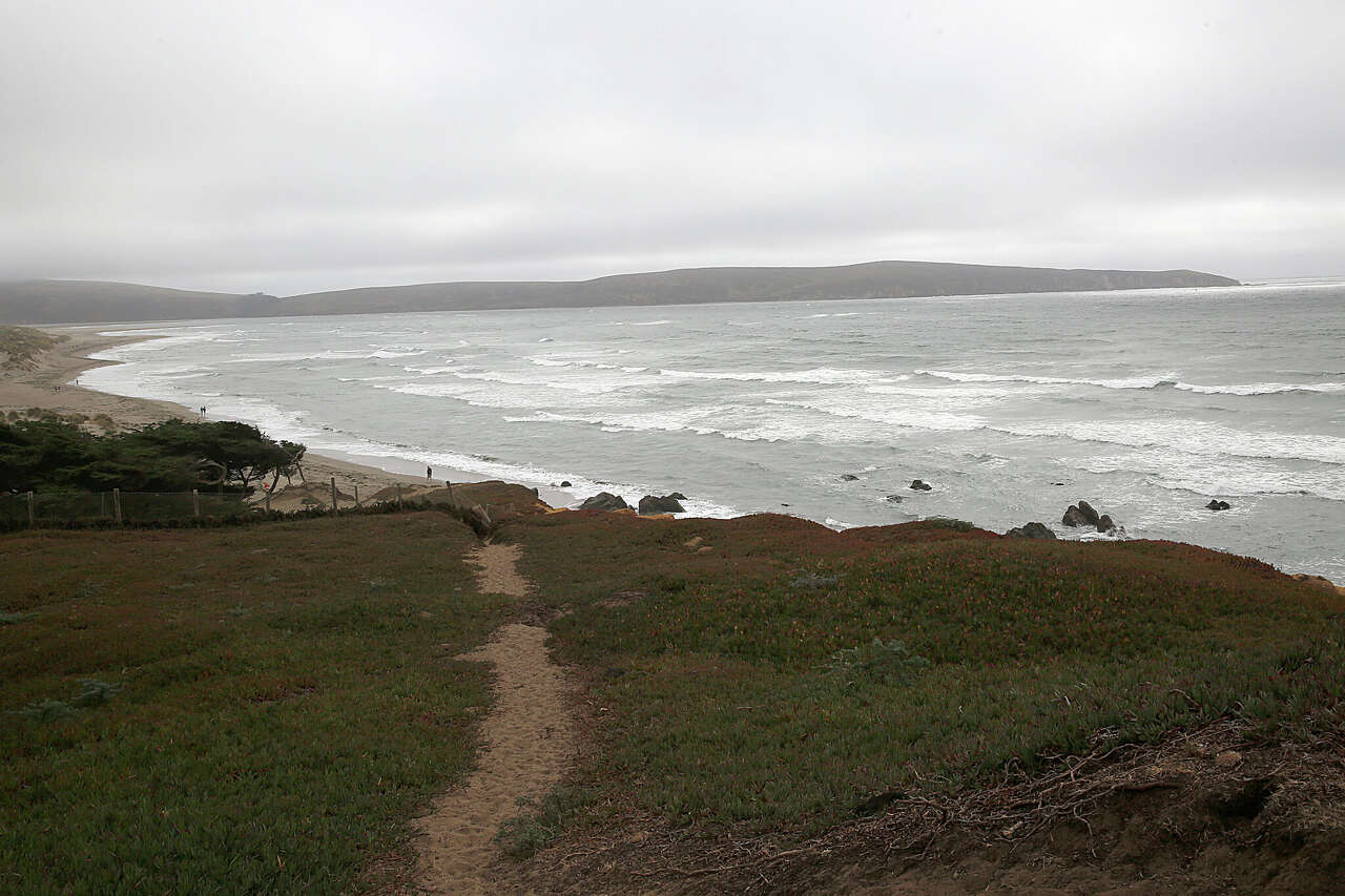 Surfer escapes injury in shark attack off Marin County coast<br><br>