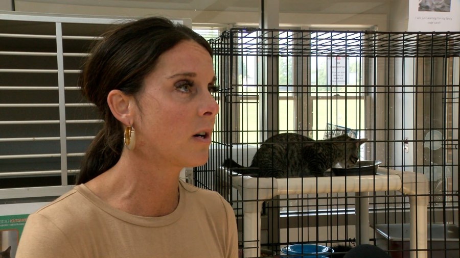 Former Erie Humane Society executive director set to enter guilty plea