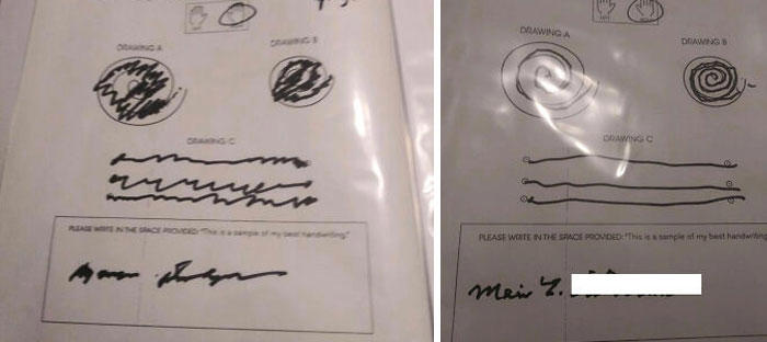 45 interesting comparison images to give you a new perspective on things