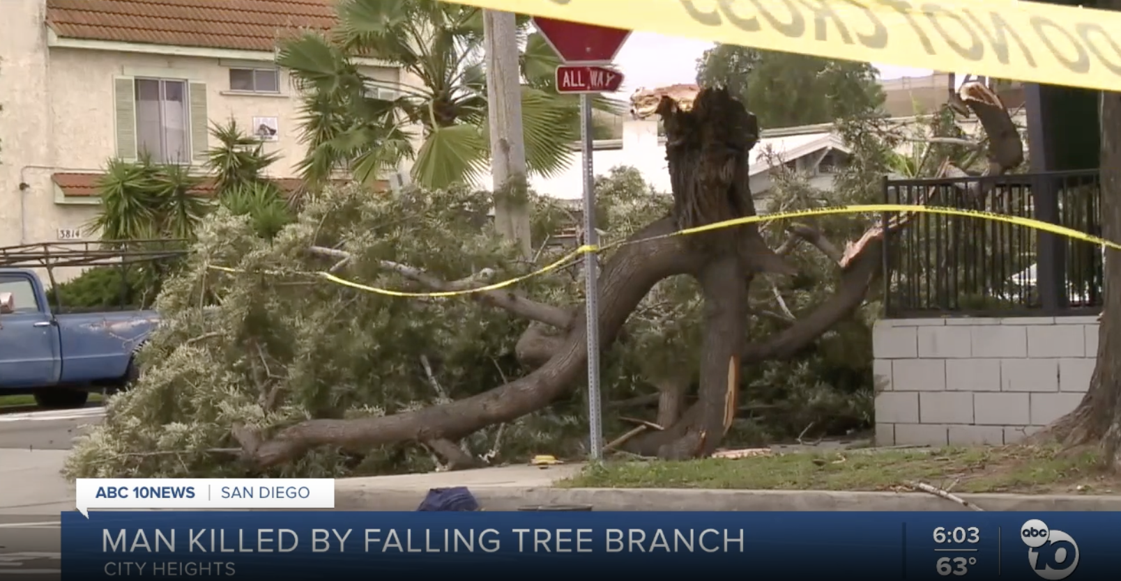 Man killed by fallen tree branch in City Heights