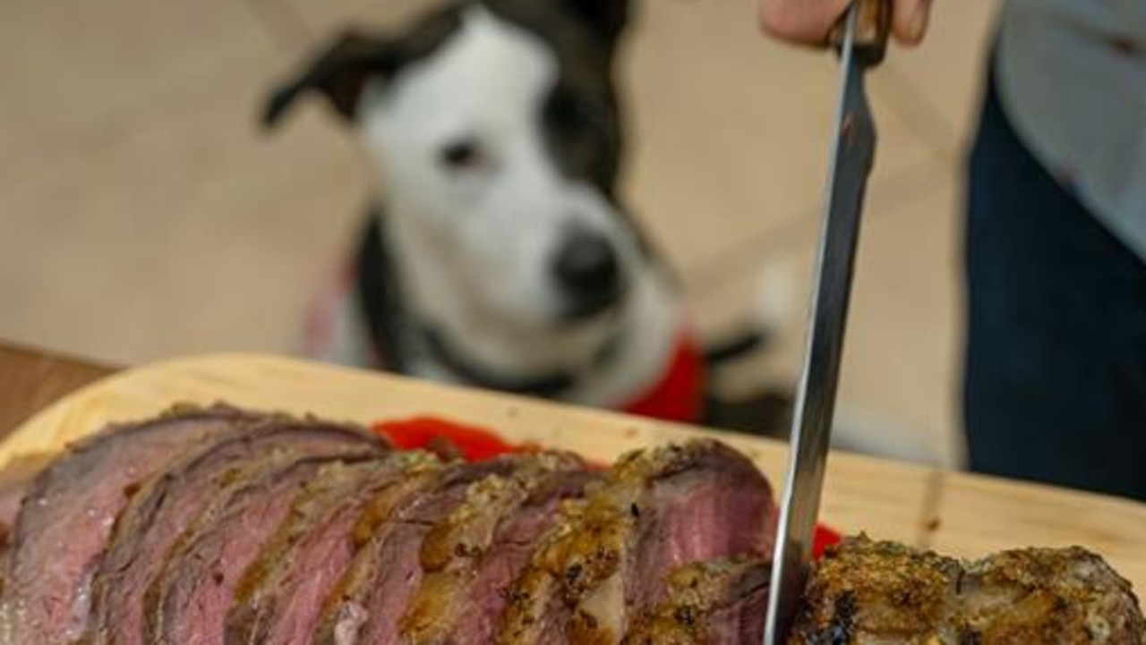 The BBQ favourite that could poison your dog