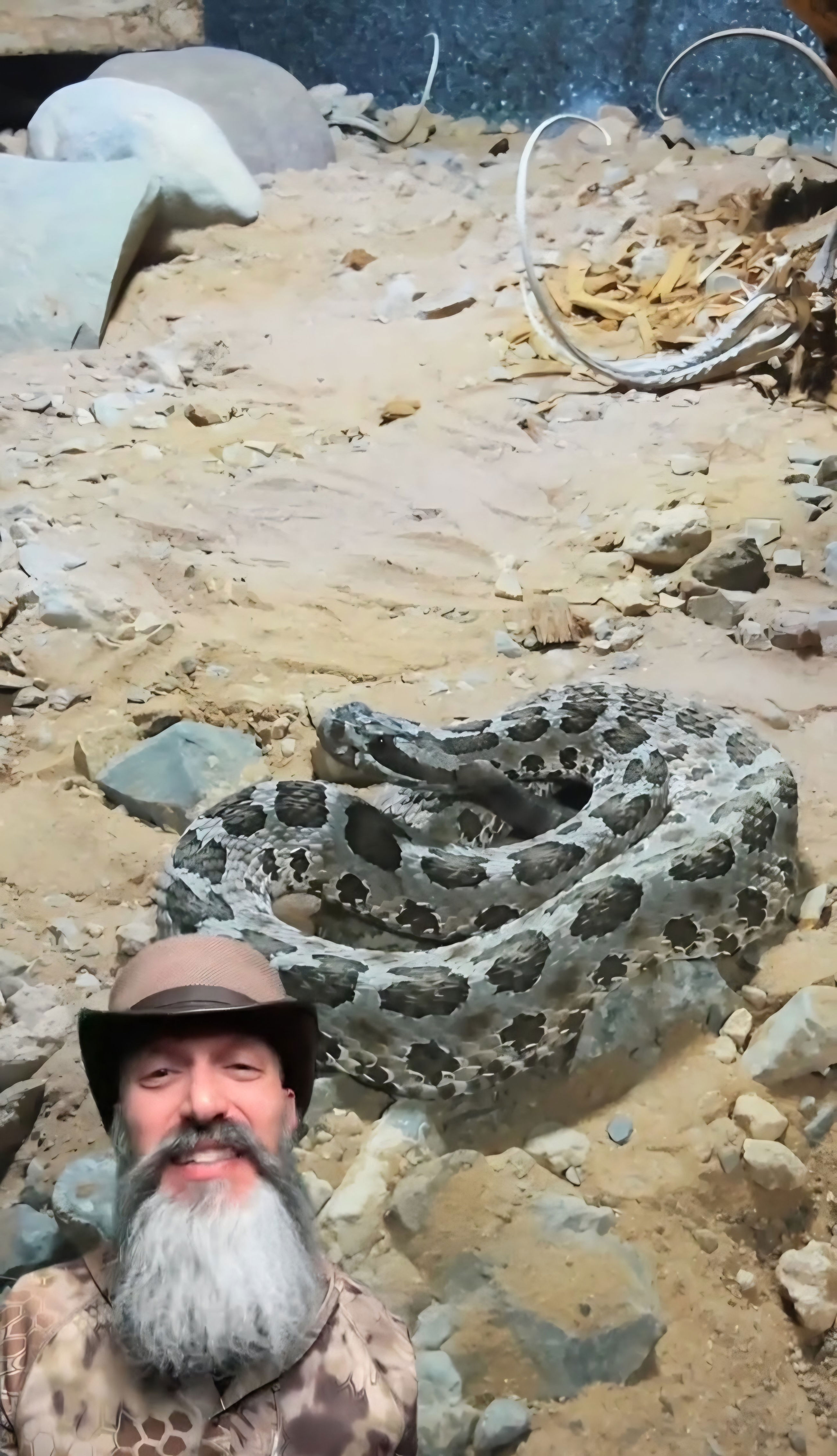 Our most venomous snake!