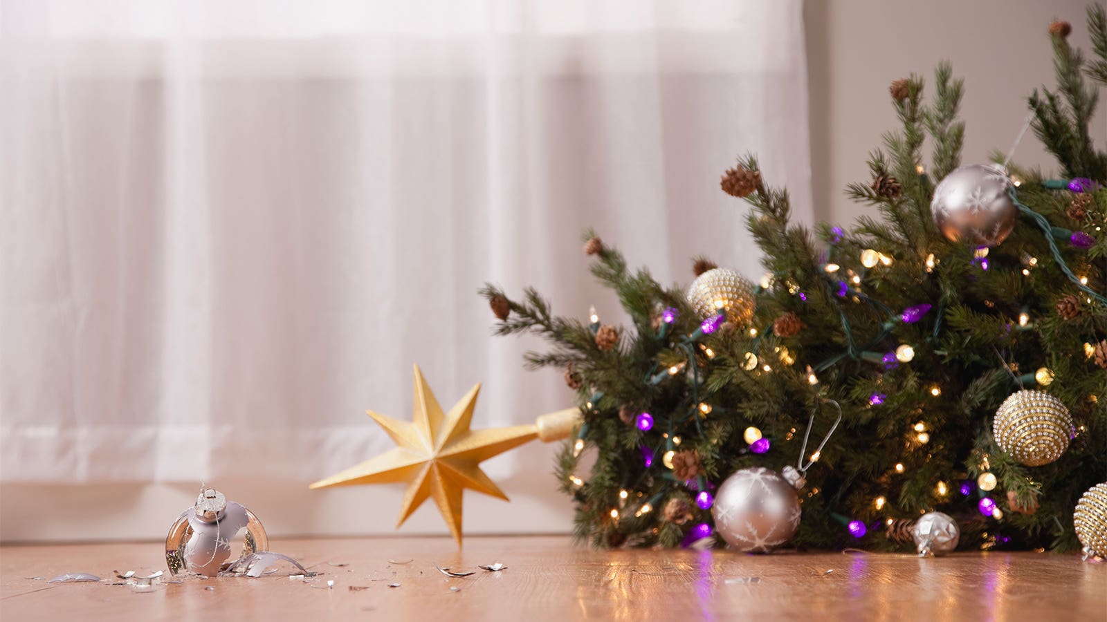 Deck the halls with ow's from folly: What the numbers tell us about holiday injuries