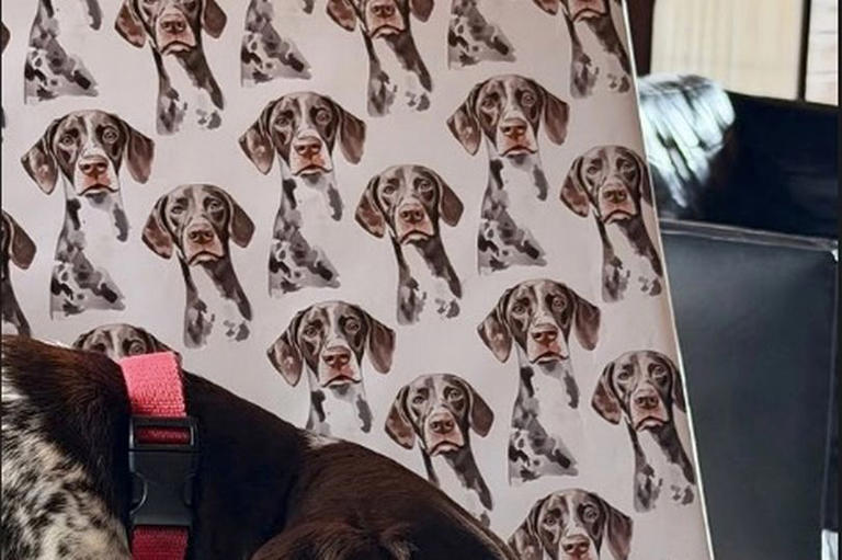 David Muir gives rare insight into personal life as he misses World