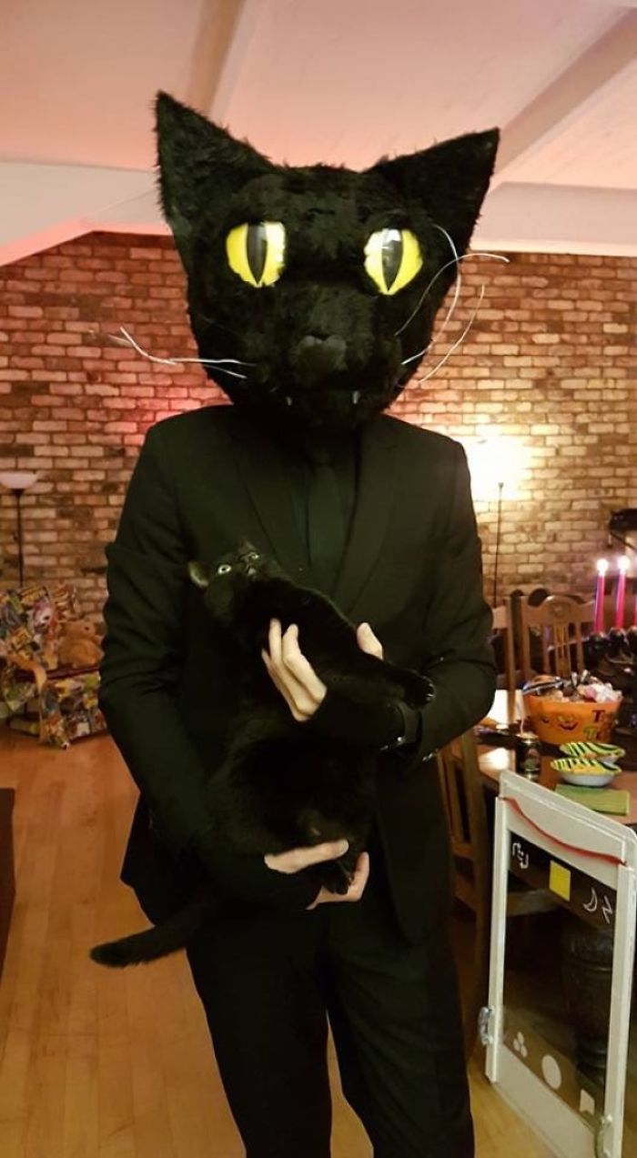 50 Overdramatic Cats Who Deserve An Oscar