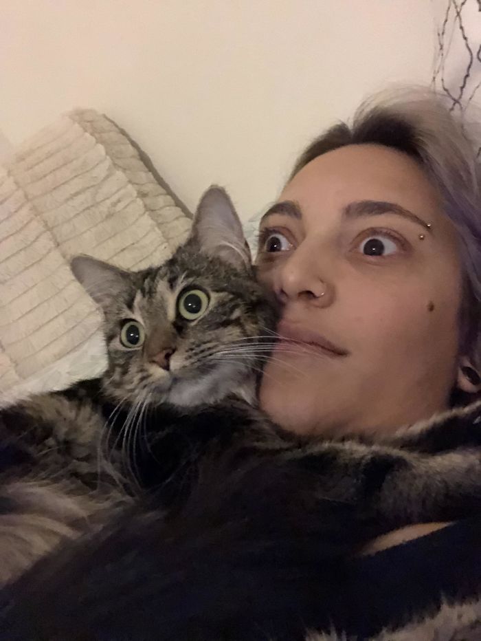 50 Overdramatic Cats Who Deserve An Oscar