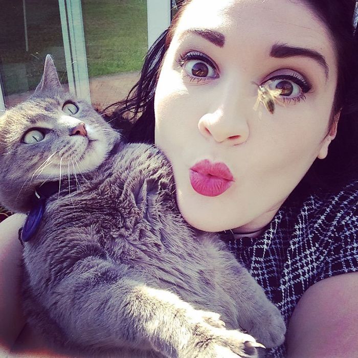 50 Overdramatic Cats Who Deserve An Oscar
