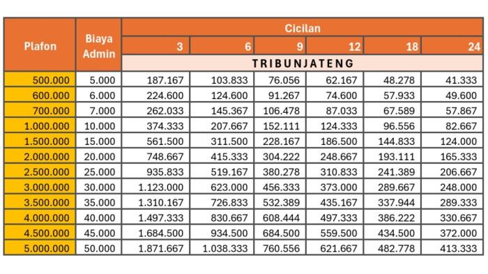 Tabel Pinjaman Shopee 2025, Bunga 4,1 Persen
