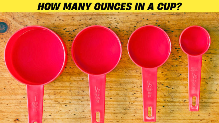 How many ounces in a cup? Check ounces to cup conversion guide now!