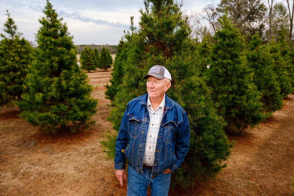 Last Christmas: An East Texas Christmas tree farm closes after 40 years ...