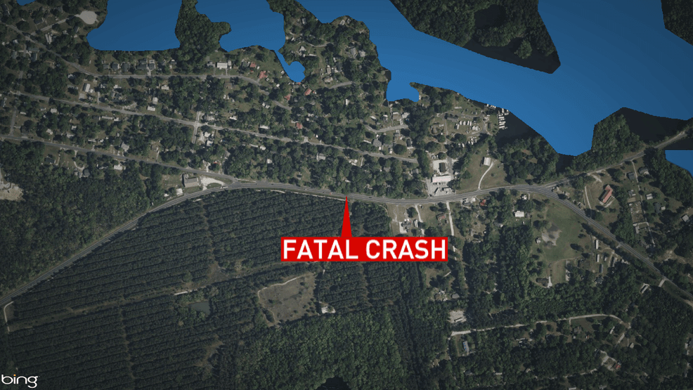 Driver named after deadly crash into tree
