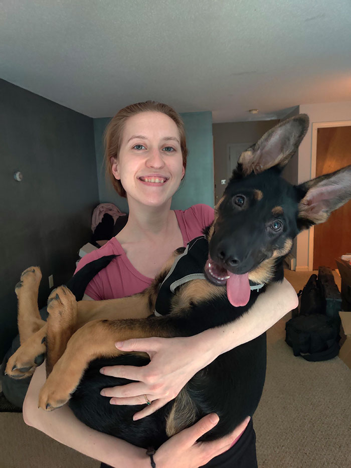 40 Times German Shepherd Puppies Were The Purest Things In The World