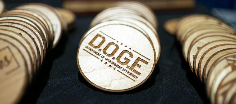 Michigan lawmakers announce DOGE task force initiative