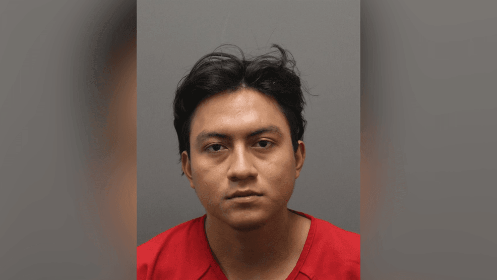 Illegal immigrant pleads guilty in Loudoun County deadly carjacking
