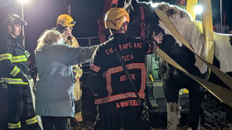 Chesapeake and Suffolk fire crews, vets rescue 25-year-old horse