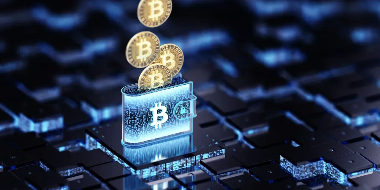 Black Titan stock more than doubles after crypto treasury strategy debut