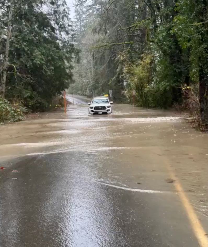 Washington state resident and her two dogs rescued from floodwaters