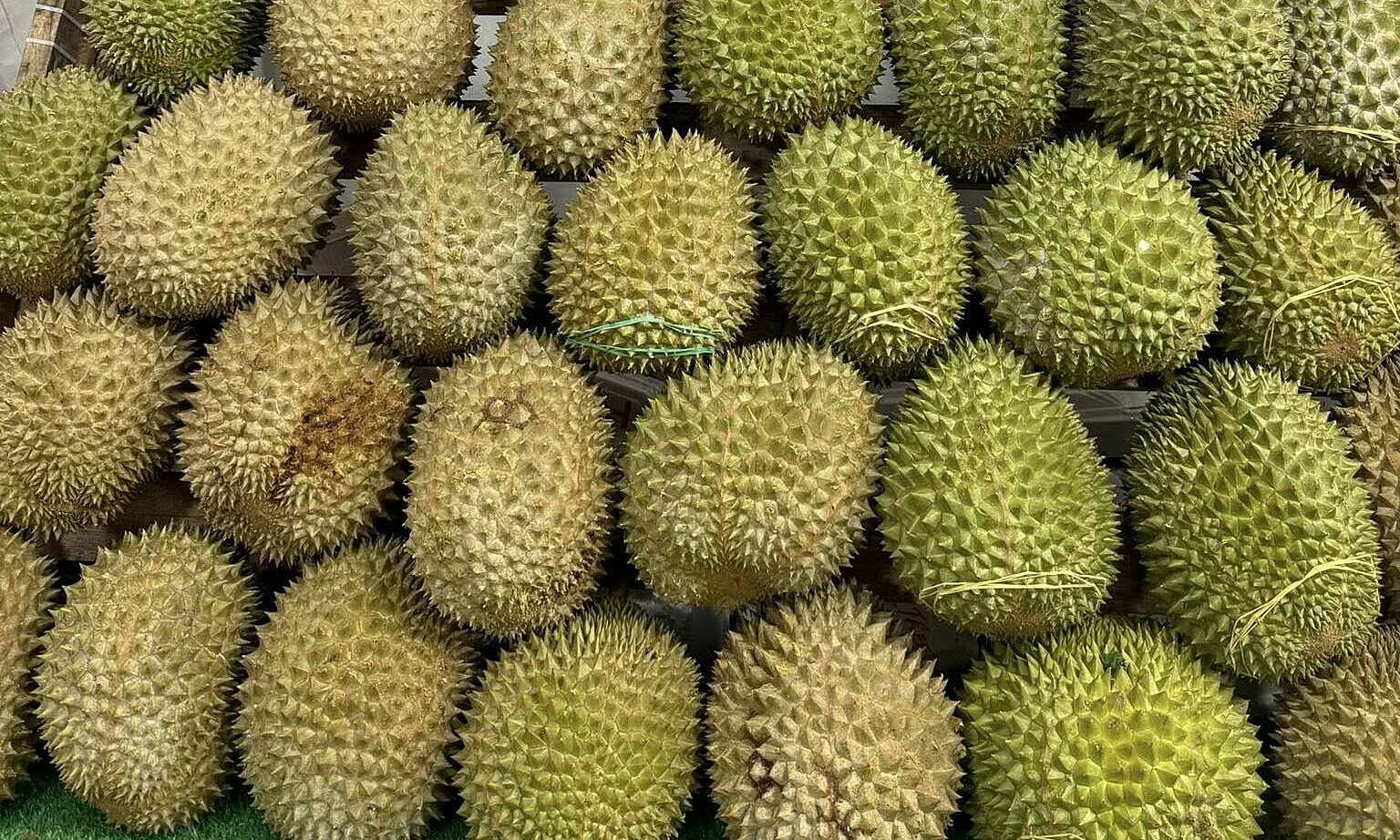 Over 500 people queue for 1,200 kg of free durians in Singapore