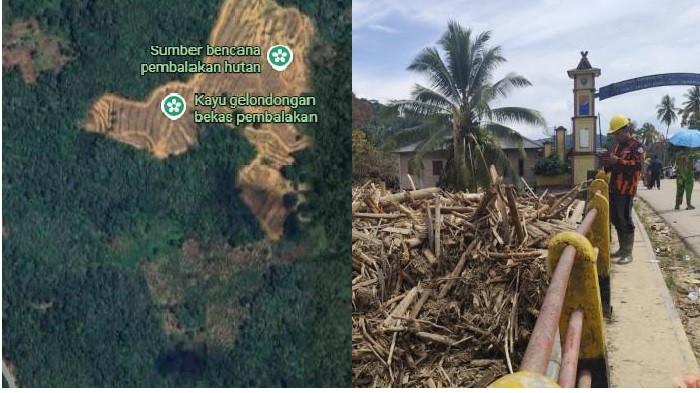 Kapolri Umumkan Tersangka Kasus Kayu Gelondongan di Batang Toru