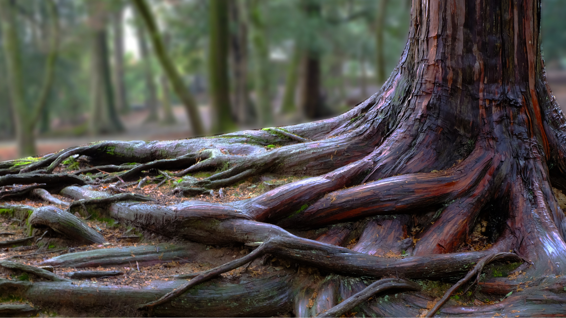 Use the 'five whys' to get to the root of your productivity problems
