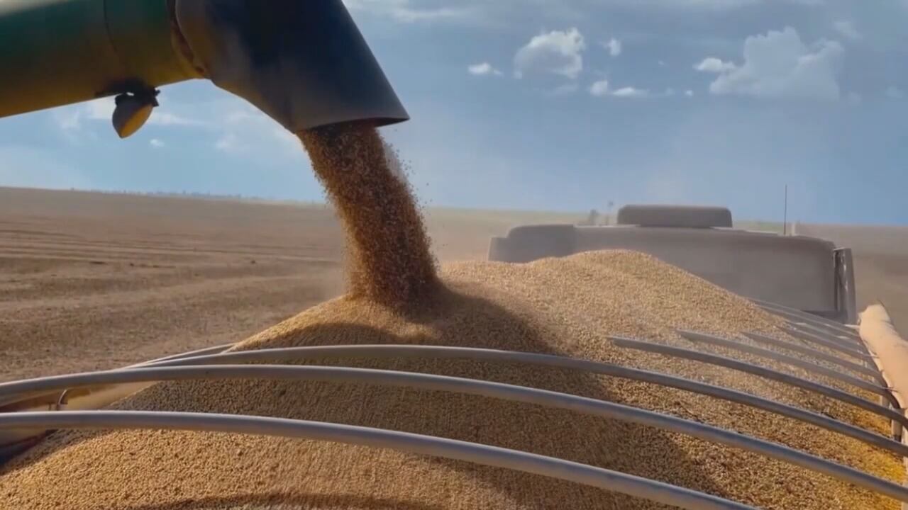 Farmers call for long-term solution in reaction to Trump aid package