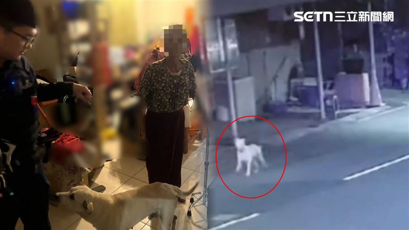 沒白養…阿嬤凍夜找嘸路「靈性小白引路」畫面曝!感動全網