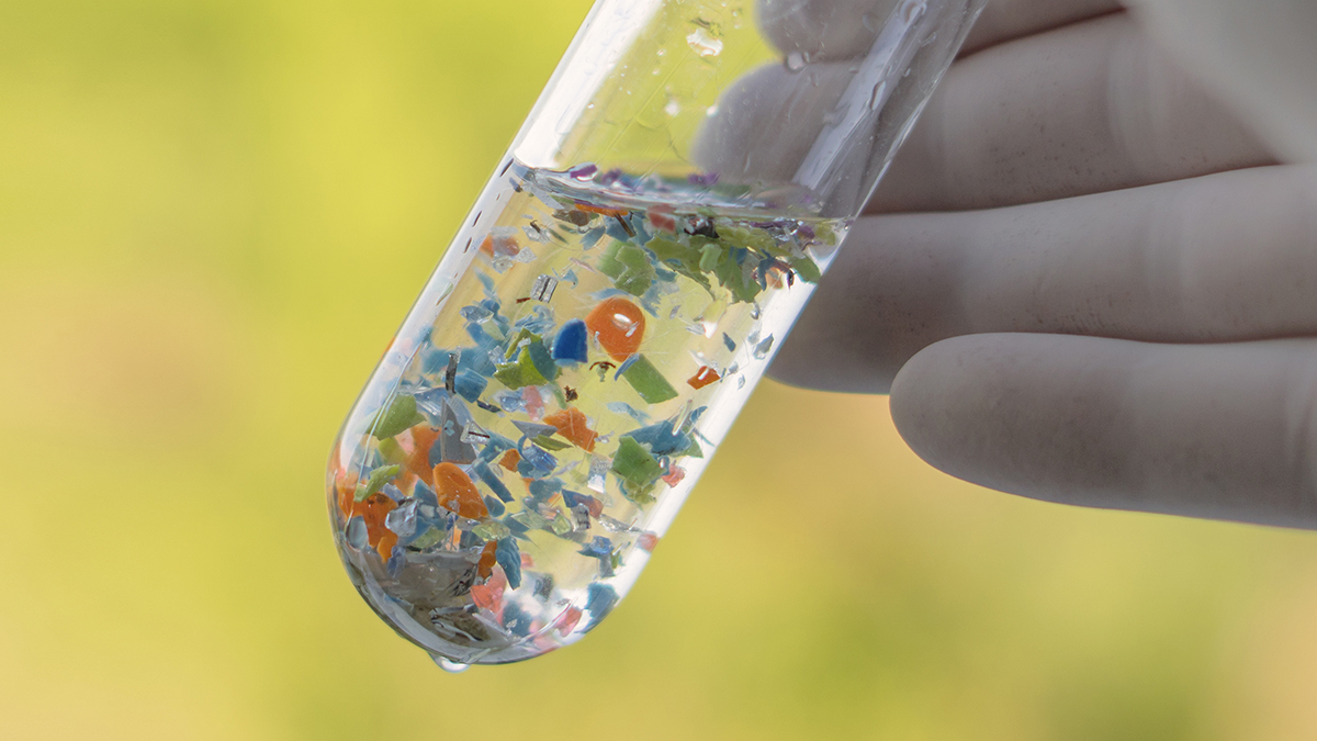 Microplastics can spread dangerous pathogens, scientists warn
