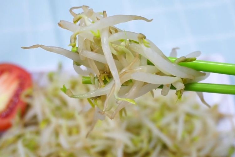 10 Manfaat Kecil Toge untuk Kesehatan Tubuh