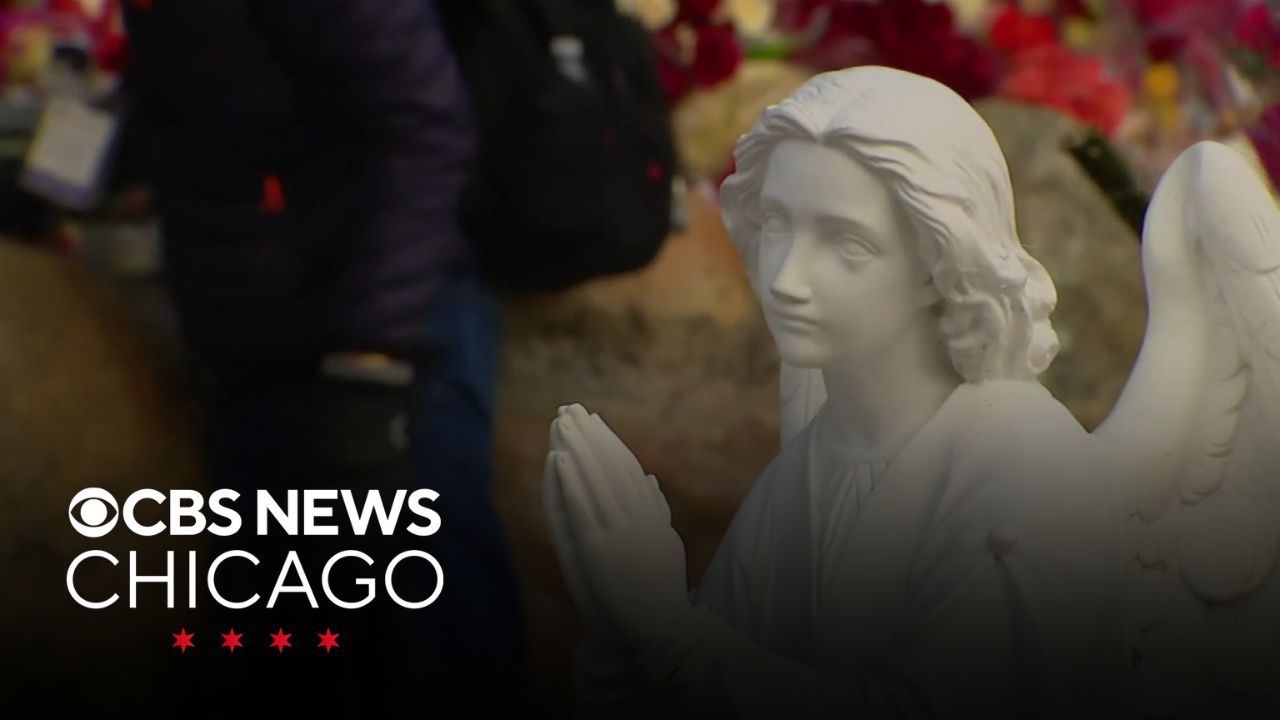 Celebration of Our Lady of Guadalupe begins in Des Plaines